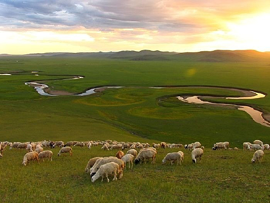 ��Ⱥ�ڲݵ��ϳԲ�