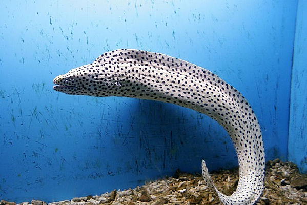 �㺣�����ȴ���