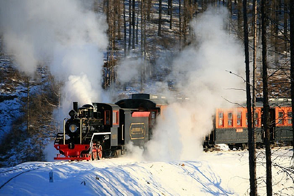 С�˰����ɭ��С��