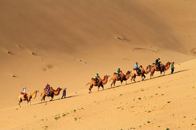 �͵�����ɳĮ�ն�