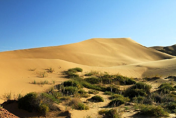 ���ɳĮ��Ȼ����