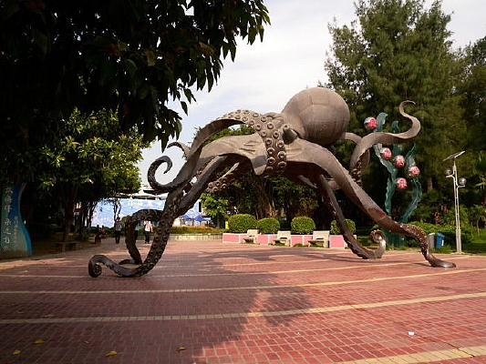 ��צ�����