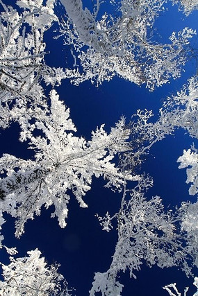 ѩ������