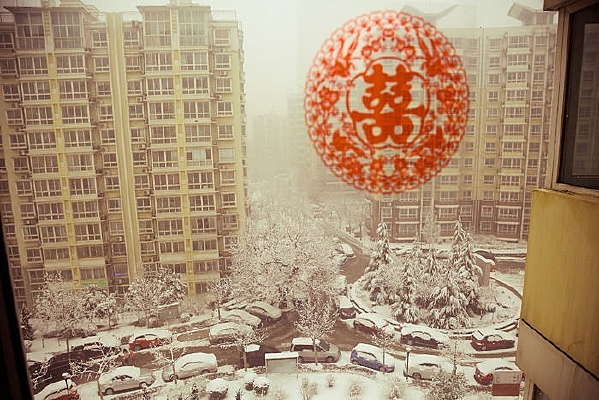 ����ѩ�����