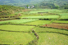 ũҵ������