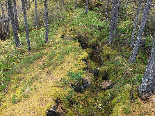 ��ɽ����԰��