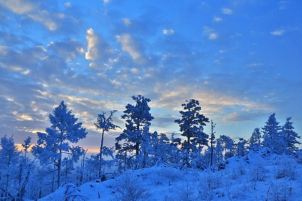 ���ֳ���