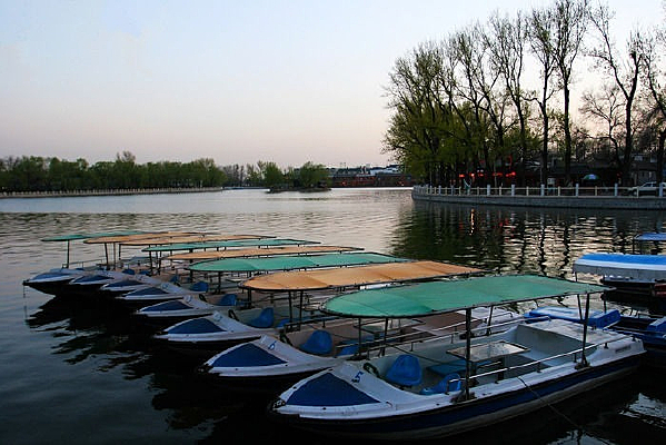 ����ʲɲ�����