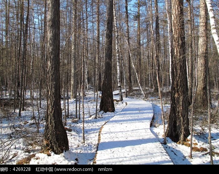 ����С·ͼƬ