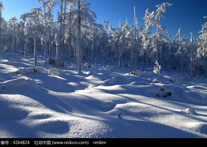 ѩԭ����ͼƬ