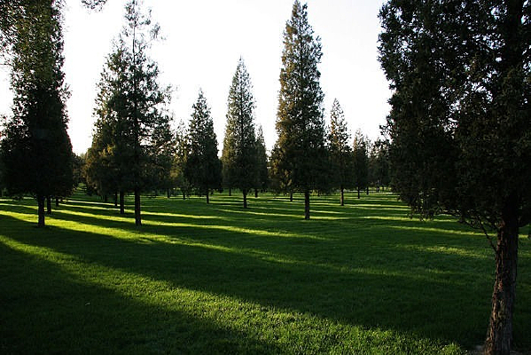 ������̳��԰����