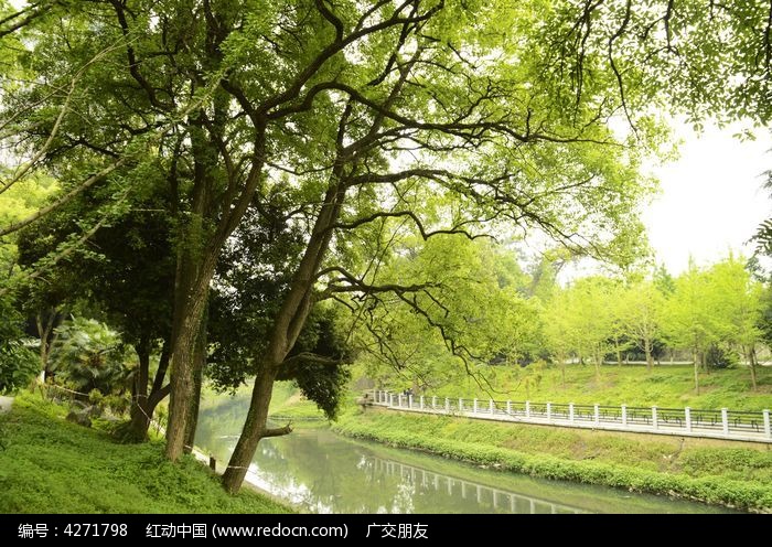  �������ɭ��СϪͼƬͼƬ