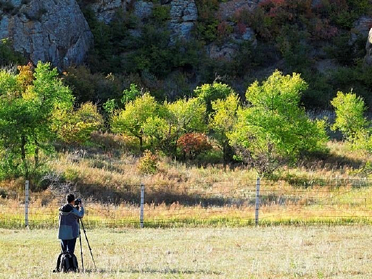 ����ŵ��������