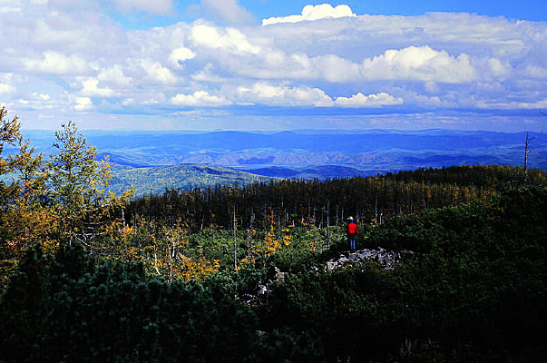 ���ɽ���