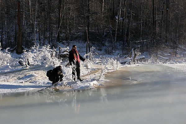������ɽ���