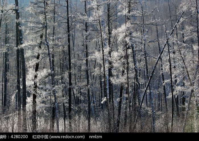 ���˰���������ڡͼƬ