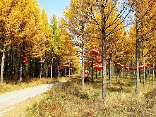 ���Ҽ��԰