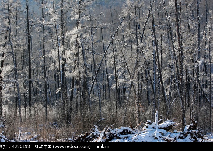 ������ڡͼƬ