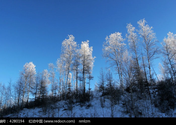 С�������ϵ���ڡͼƬ