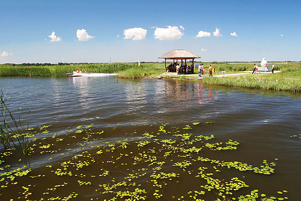 ����ʪ�������羰