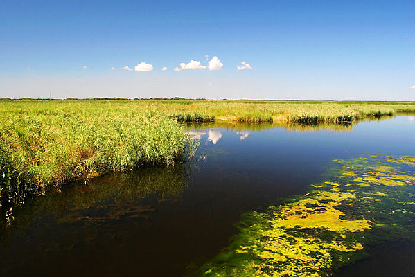 ������������