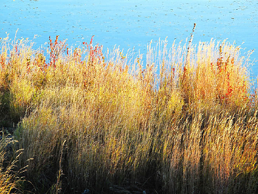 ��ɫ����ɽ