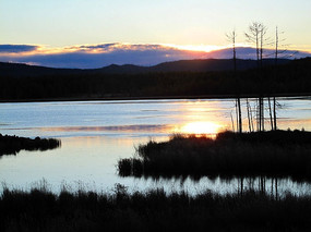 ɭ�ֹ�԰����