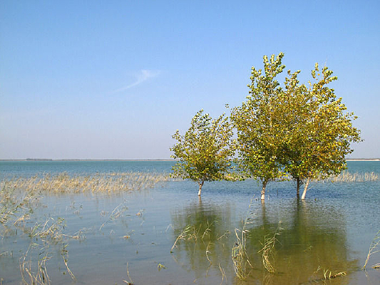 ���ֺ���