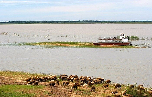 �羰�к�ˮ��ֻ