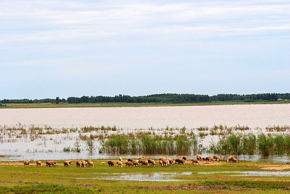 ����Ī����