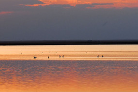 ����Ϧ����