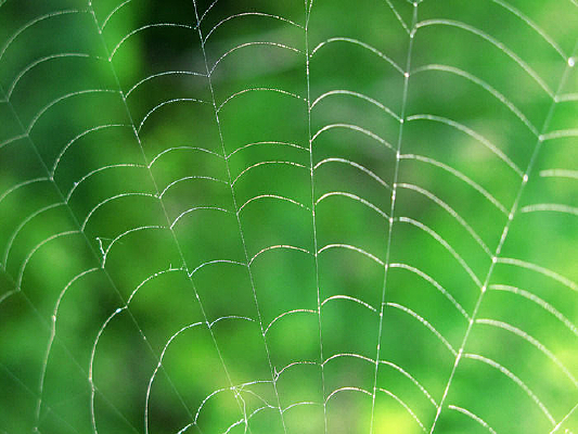 ֩������