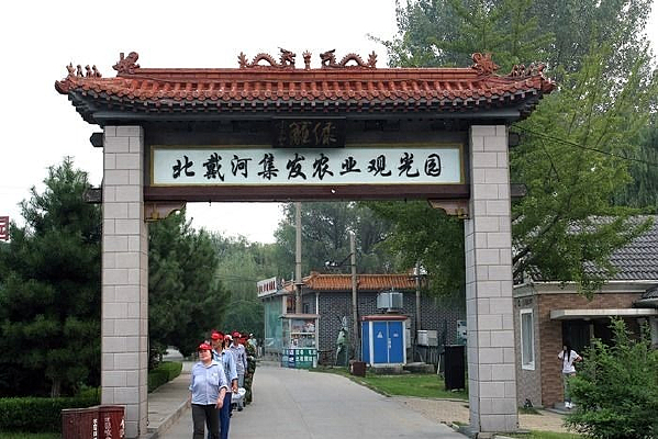 �ִ�ũҵ�۹�԰