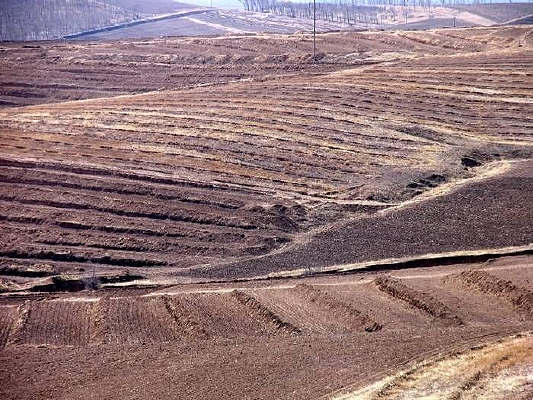 �ɺ�����