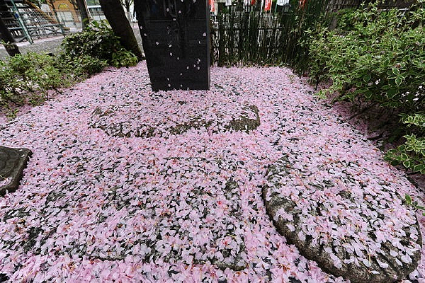 ���ػ���