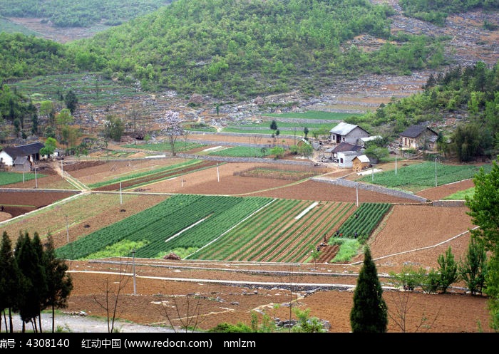 阡陌的田埂小道图片