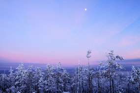 ĺɫ��ã�е�ѩ��