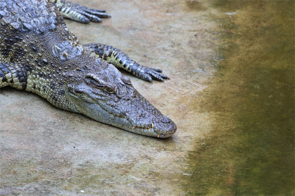 ���е�����