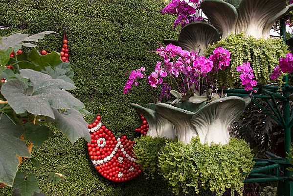 ɽ���ٹ��߲˲�����