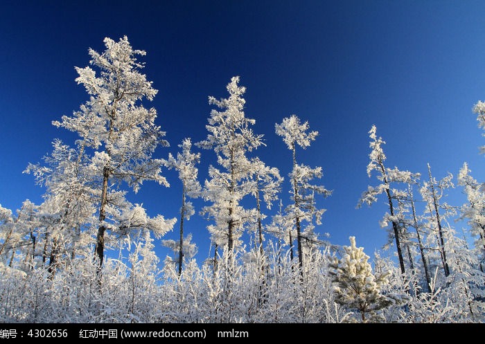 ������ڡͼƬ