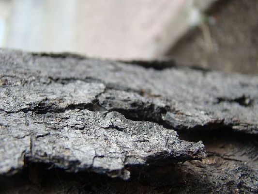 б������