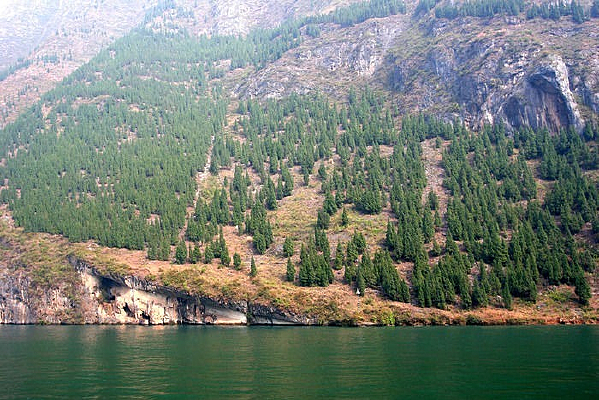 ��Ȼ����