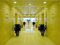 д��¥����