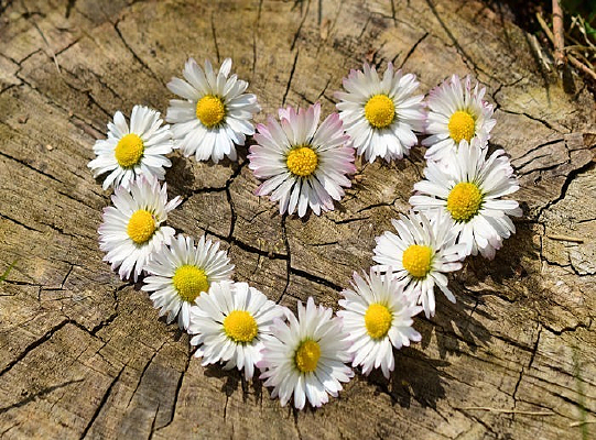 �����ջ�