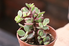 ����֮�����