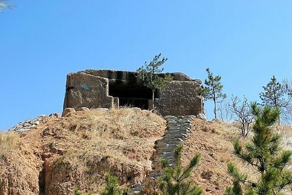 �ɴ�����