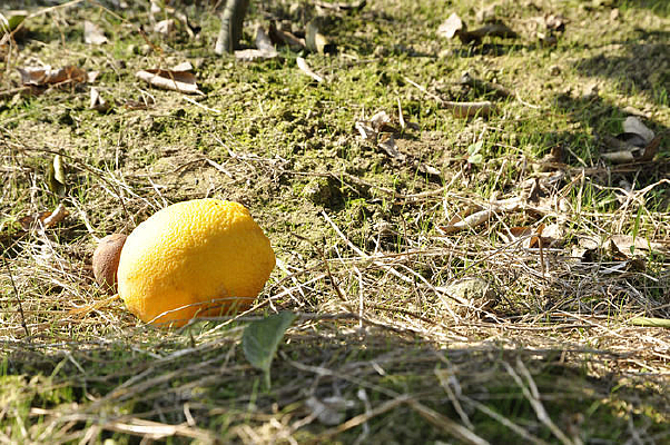 ���ϵ����