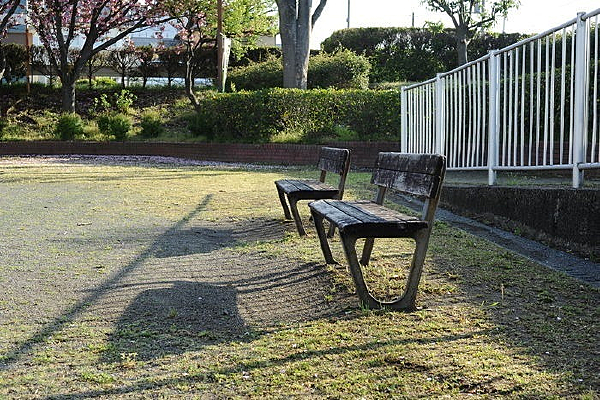 ��԰������