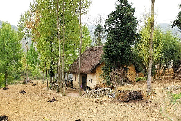 ������԰