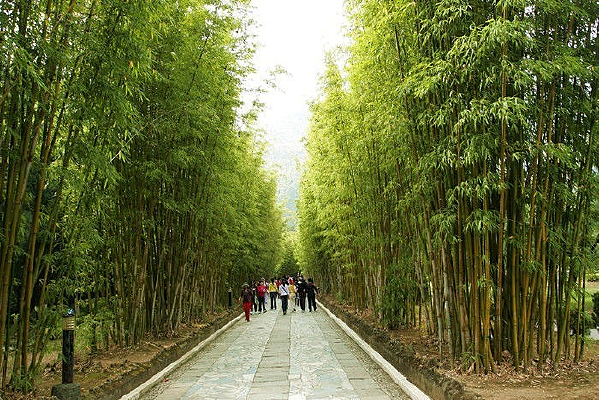 Ȫ��԰��С·